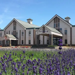 Hotel Furano La Terre